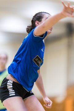 Bild 215 - wBJ TSV Ellerau - HSG Stoertal Hummeln : Ergebnis: 26:19